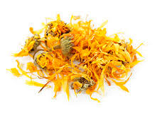 Organic Calendula/ Marigold