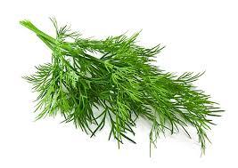 Organic Dill