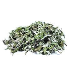 Mugwort
